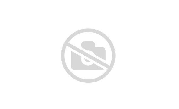 Лист круглый пальчиковый, атлас, 10 см