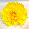 Голова пиона, нетканный, 23 см