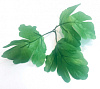 Лист тройной перистый на ножке, шелк, 23 см