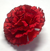 Голова гвоздики, бархат, 9 см