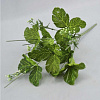 Подбукетник с листьями, 10 веток, 49 см
