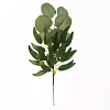 Ветка эвкалипта, 33 см, шелк