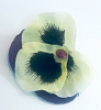 Голова анютины глазки, шелк, 6 см