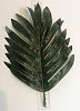Лист пальмы боковой, атлас, 30 см