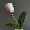 Тюльпан одиночный , шелк, 48 см
