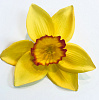 Голова нарцисса, атлас, 10 см