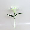 Лилия одиночная, 32 см, шелк