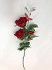 Ветка роз, бархат, 80 см
