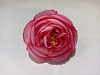 Бутон пиона, шелк, 6 см
