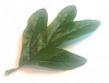 Лист боковой пальчиковый, шелк, 16 см