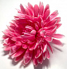 Голова хризантемы, атлас, 15 см