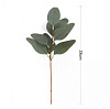 Ветка эвкалипта, 28 см, шелк