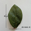 Лист боковой овальный, 8 см, шелк
