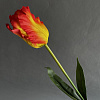 Тюльпан гофрированный одиночный, шелк, 65 см