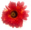 Голова герберы махровой, шелк, 12 см