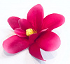 Голова орхидеи, атлас, 8 см
