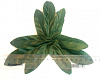Лист тройной пальчиковый, атлас, 19,5 см
