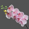 Ветка орхидеи, шелк, 107 см