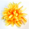 Голова хризантемы, атлас, 17 см