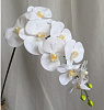 Ветка орхидеи, латекс, 26 см