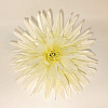 Голова хризантемы, атлас, 15 см