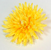 Голова хризантемы, 17 см, атлас