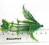 Добавка папоротник с мокрицей, 8 см