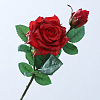 Ветка роз, шелк, 47 см
