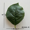 Лист боковой округлый, шелк, 18 см
