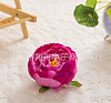 Голова пиона, шелк, 10 см