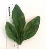 Лист боковой пальчиковый, атлас, 12 см