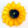 Голова подсолнуха, шелк, 19 см