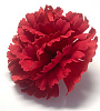 Голова гвоздики, бархат, 9 см